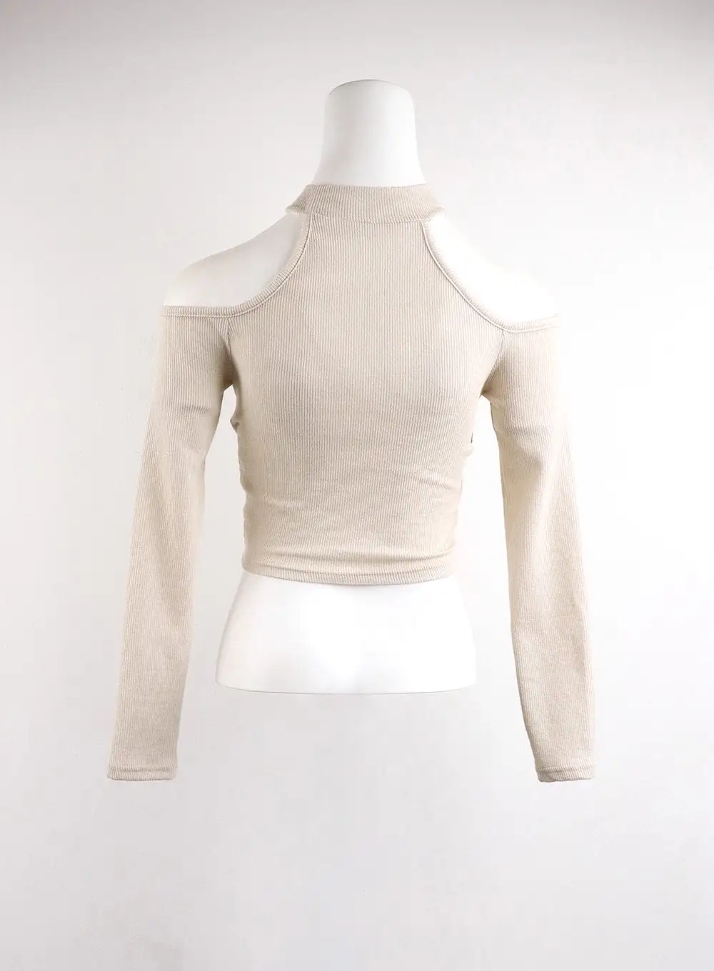 Cut-Out Turtle Neck Belt Crop Top CJ416